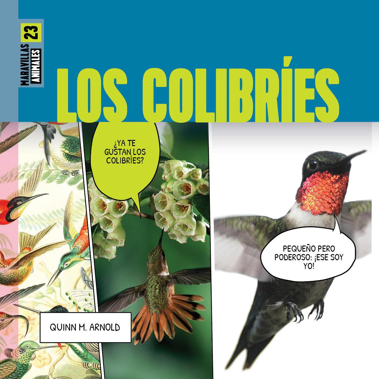 Boek Los Colibríes Arnold