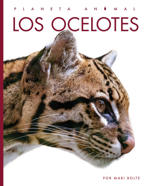 Buch Los Ocelotes Bolte