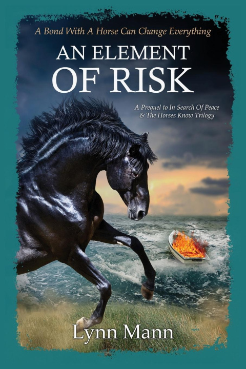 Book An Element Of Risk Lynn Mann