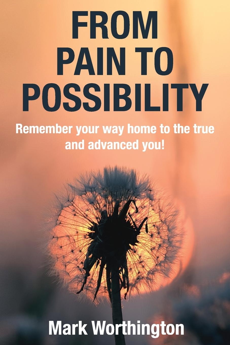 Knjiga From Pain To Possibility Mark A Worthington
