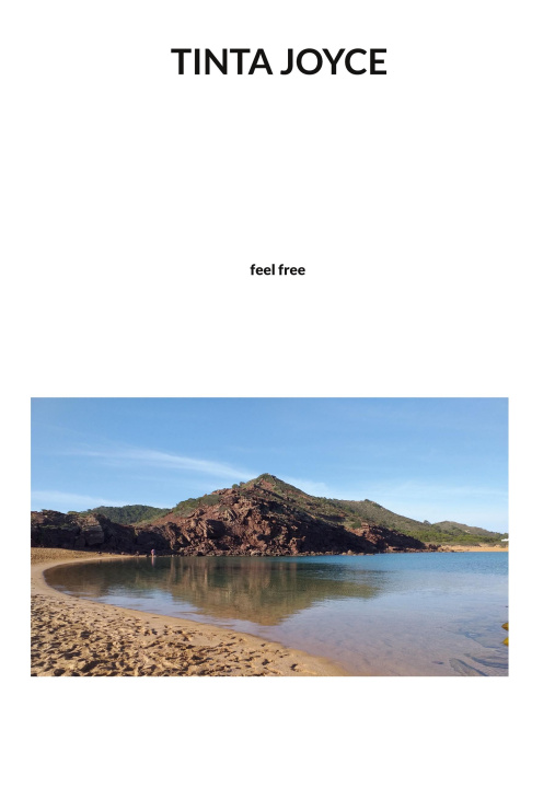 Knjiga Notebook 