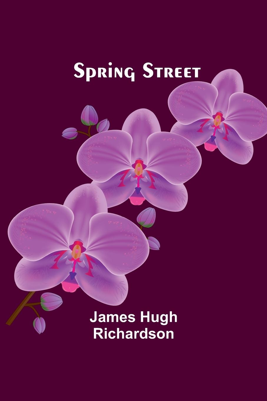 Knjiga Spring Street James Hugh Richardson
