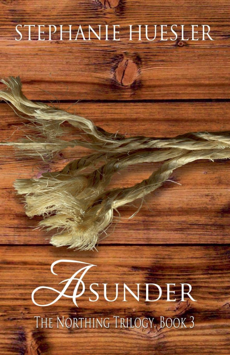 Knjiga Asunder Stephanie Huesler
