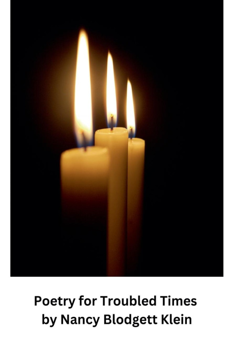 Book Poetry for Troubled Times Nancy Blodgett Klein