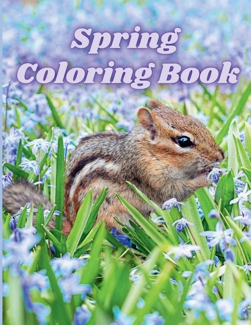 Knjiga Spring Coloring Book Henriette Wilkins