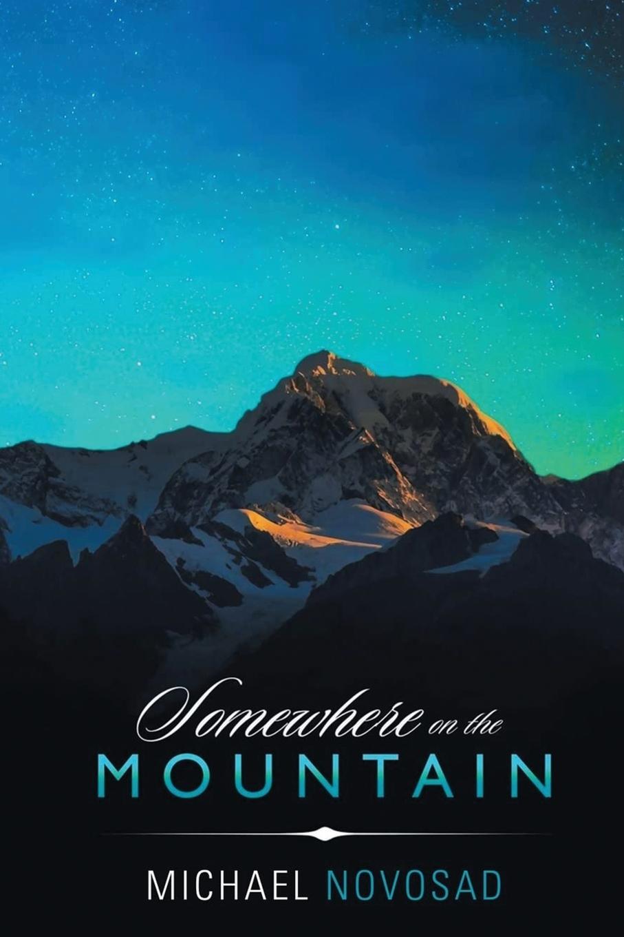 Boek Somewhere on the Mountain Michael F Novosad