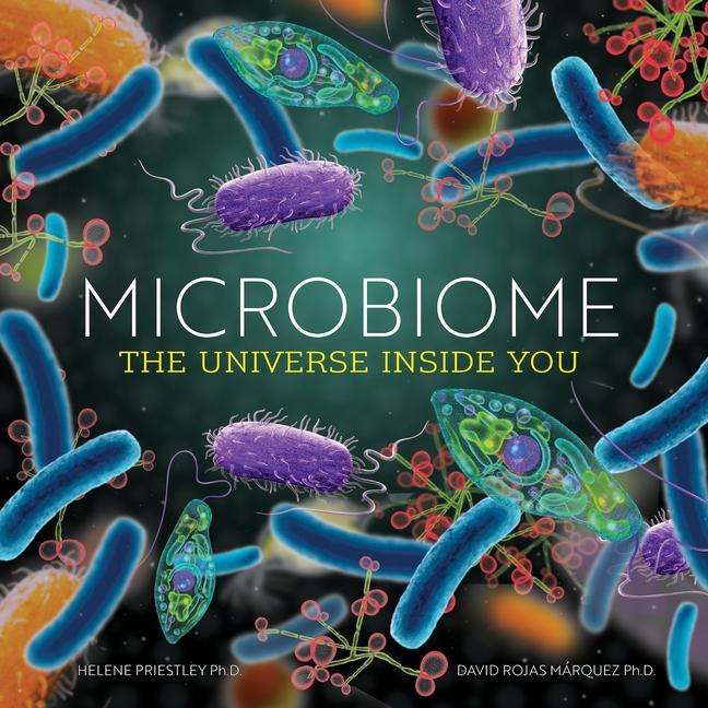 Carte Microbiome David Rojas Márquez
