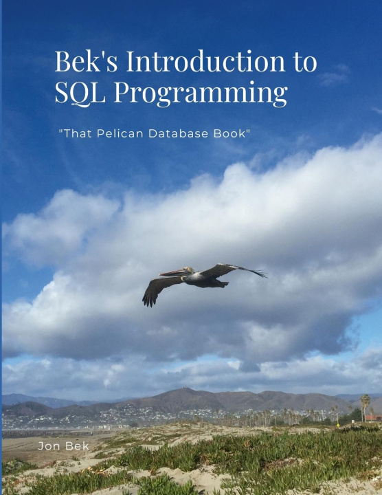 Knjiga Bek's Introduction to SQL Programming Jon Bek