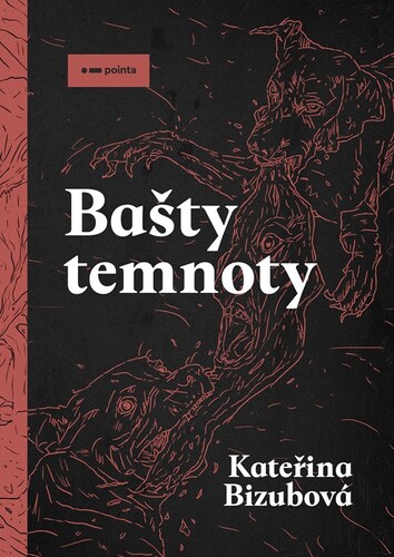 Kniha Bašty temnoty Kateřina Bizubová
