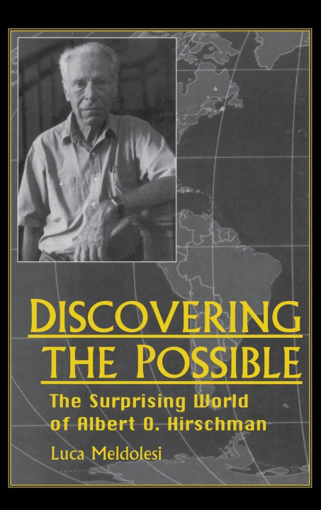 Buch Discovering the Possible Luca Meldolesi