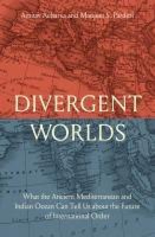 Knjiga Divergent Worlds Manjeet S. Pardesi