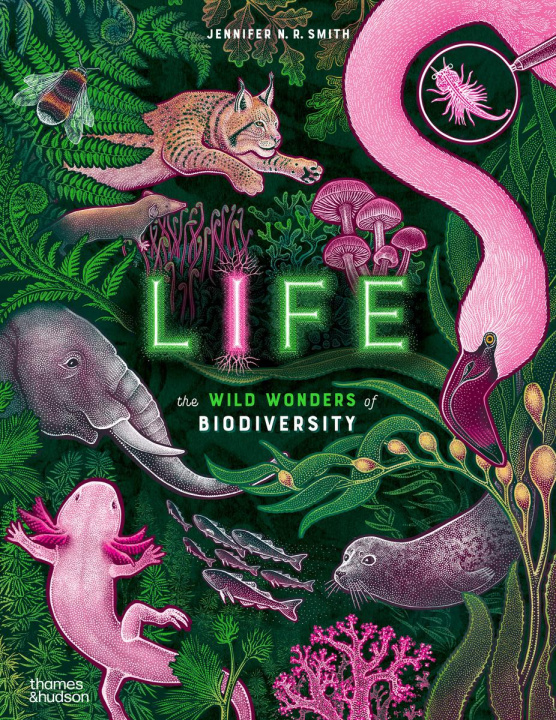 Boek Life Jennifer N. R. Smith