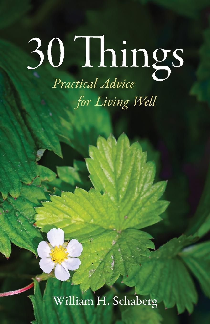 Knjiga 30 Things William H. Schaberg