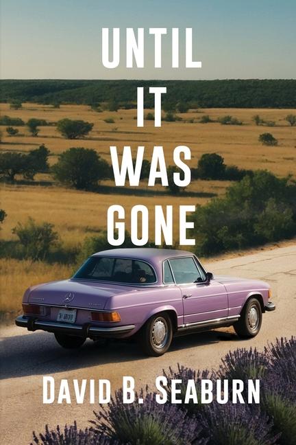 Kniha Until It Was Gone David B. Seaburn