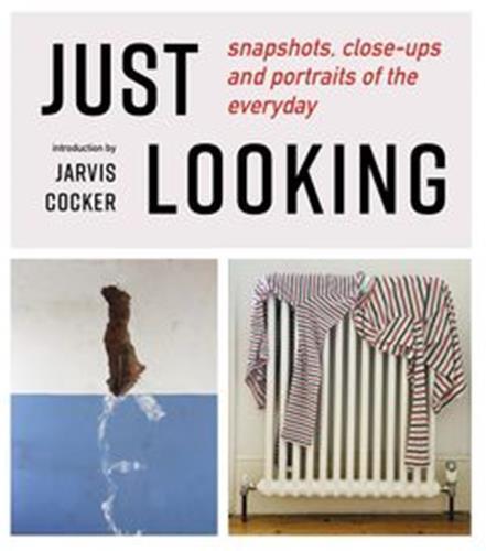 Book JUST LOOKING Julian Rothenstein