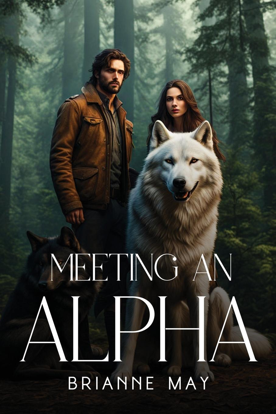 Knjiga Meeting An Alpha Brianne May
