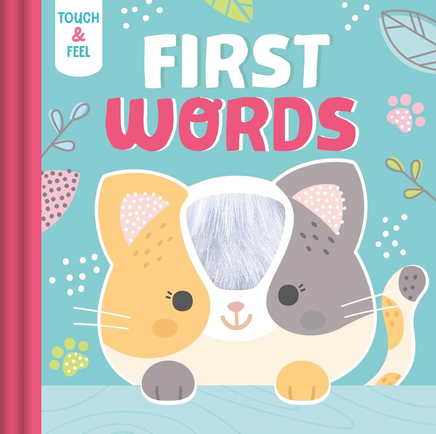 Buch Touch & Feel First Words Daniela Massironi