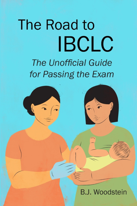 Carte The Road to IBCLC B.J. Woodstein