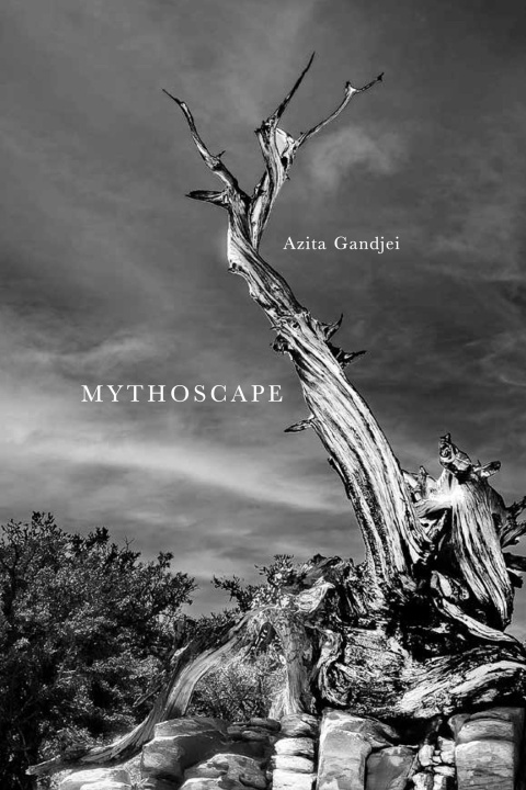 Boek Mythoscape Azita Gandjei