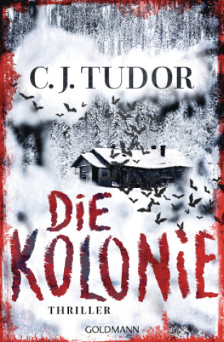 Buch Die Kolonie Marcus Ingendaay