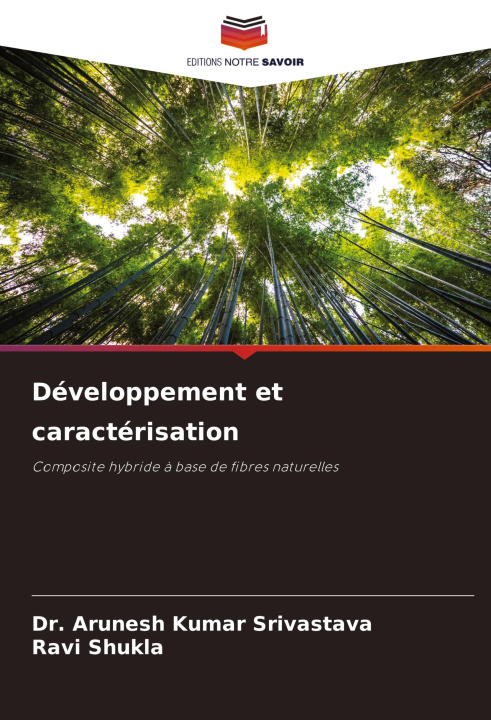 Kniha Développement et caractérisation Ravi Shukla