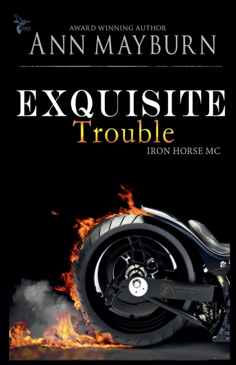 Kniha Exquisite Trouble Ann Mayburn