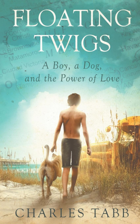 Knjiga Floating Twigs Charles Tabb