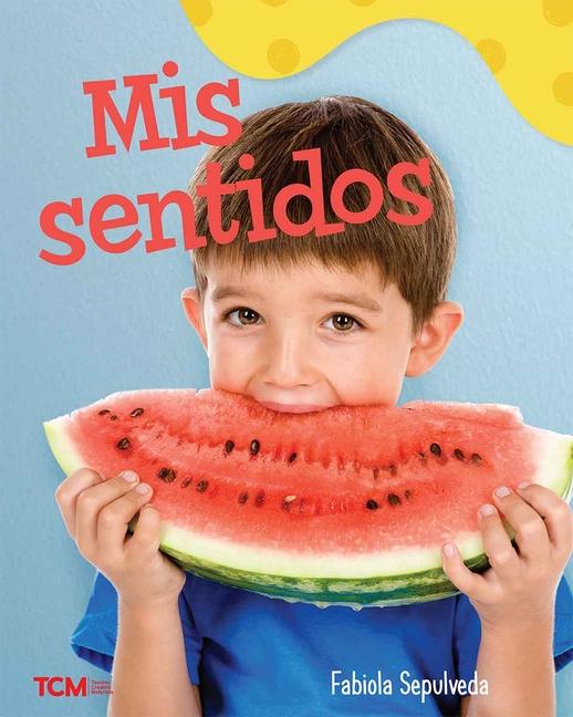 Książka MIS Sentidos Fabiola Sepulveda