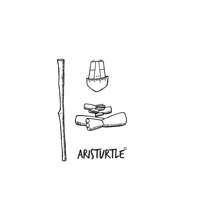 Carte Aristurtle V Shantakumar