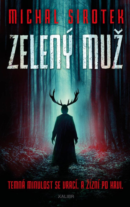 Book Zelený muž Michal Sirotek