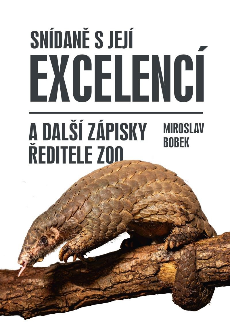 Βιβλίο Snídaně s její excelencí Miroslav Bobek