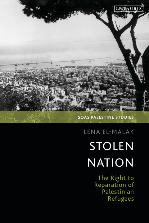 Kniha Stolen Nation Dina Matar