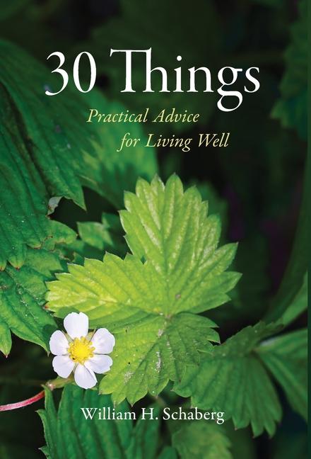 Knjiga 30 Things William H. Schaberg