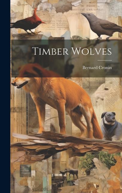 Knjiga Timber Wolves Bernard Cronin
