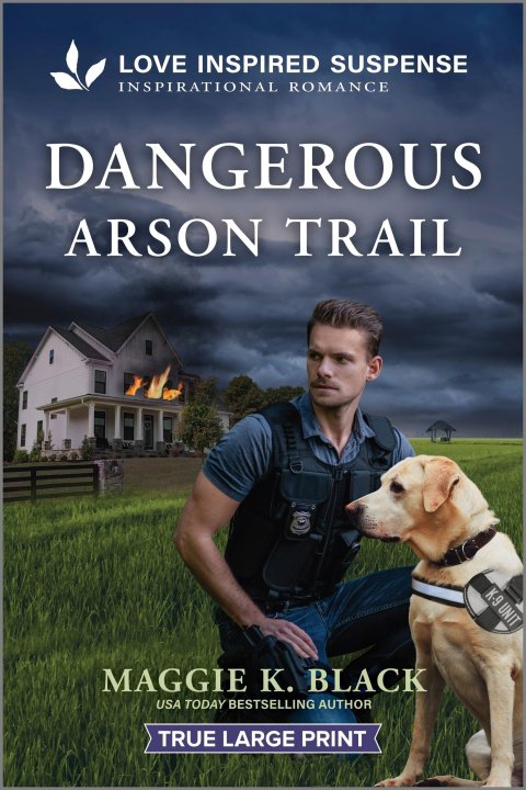 Boek Dangerous Arson Trail 