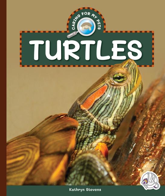 Buch Turtles 