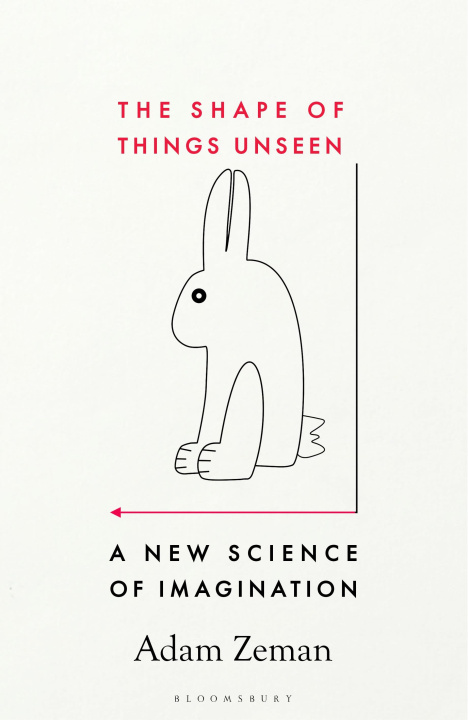 Book The Shape of Things Unseen Zeman