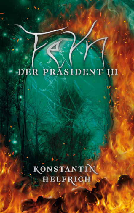Book Feyn 3 Konstantin Helfrich