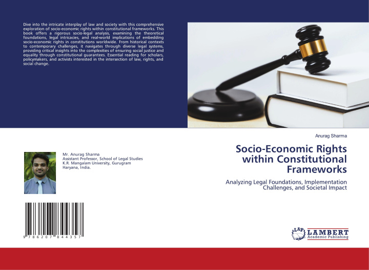 Buch Socio-Economic Rights within Constitutional Frameworks Anurag Sharma