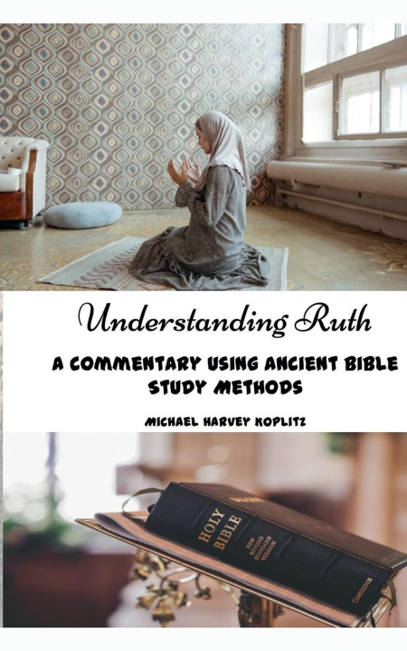 Boek Understanding Ruth Michael Koplitz