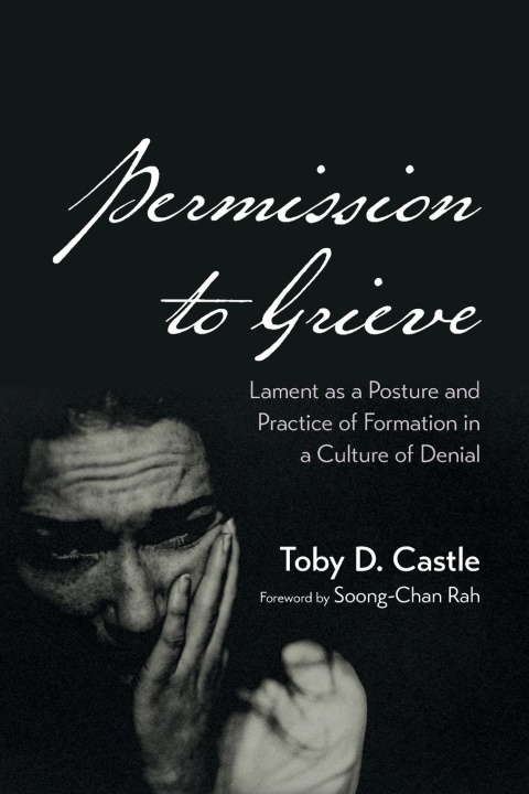 Book Permission to Grieve Toby D. Castle
