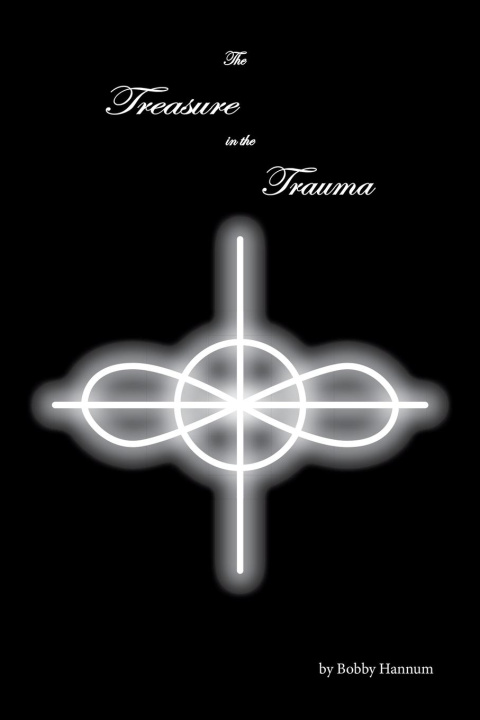 Buch The Treasure in the Trauma Bobby Hannum