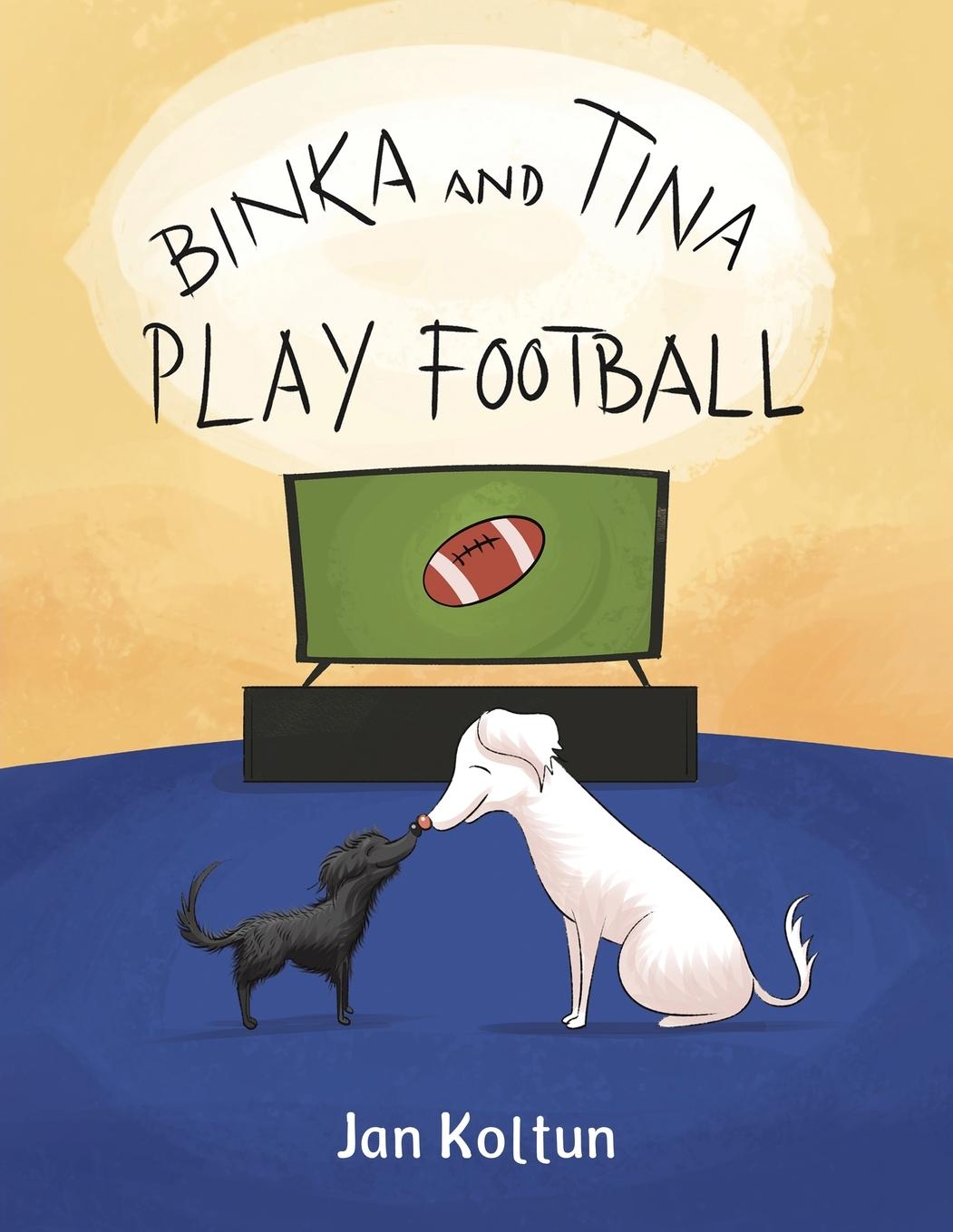 Buch Binka and Tina Play Football Jan Koltun