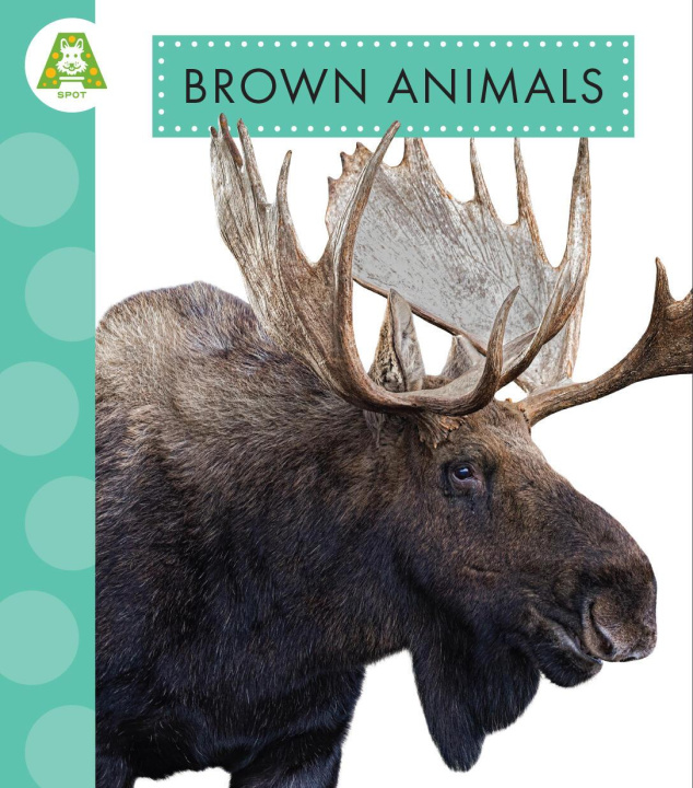 Book Brown Animals Suen