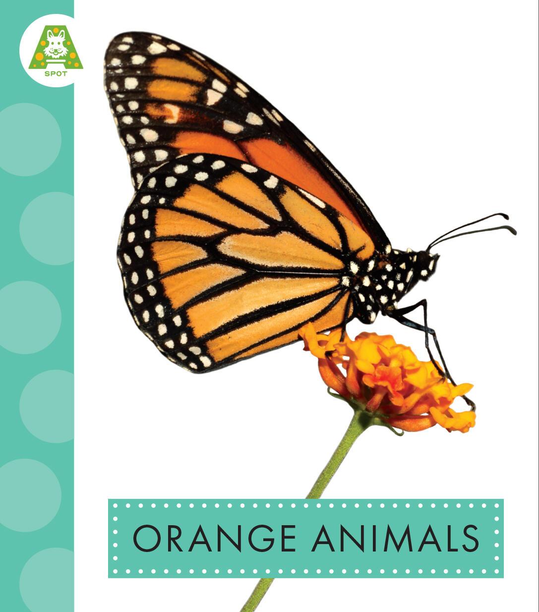 Knjiga Orange Animals Golkar