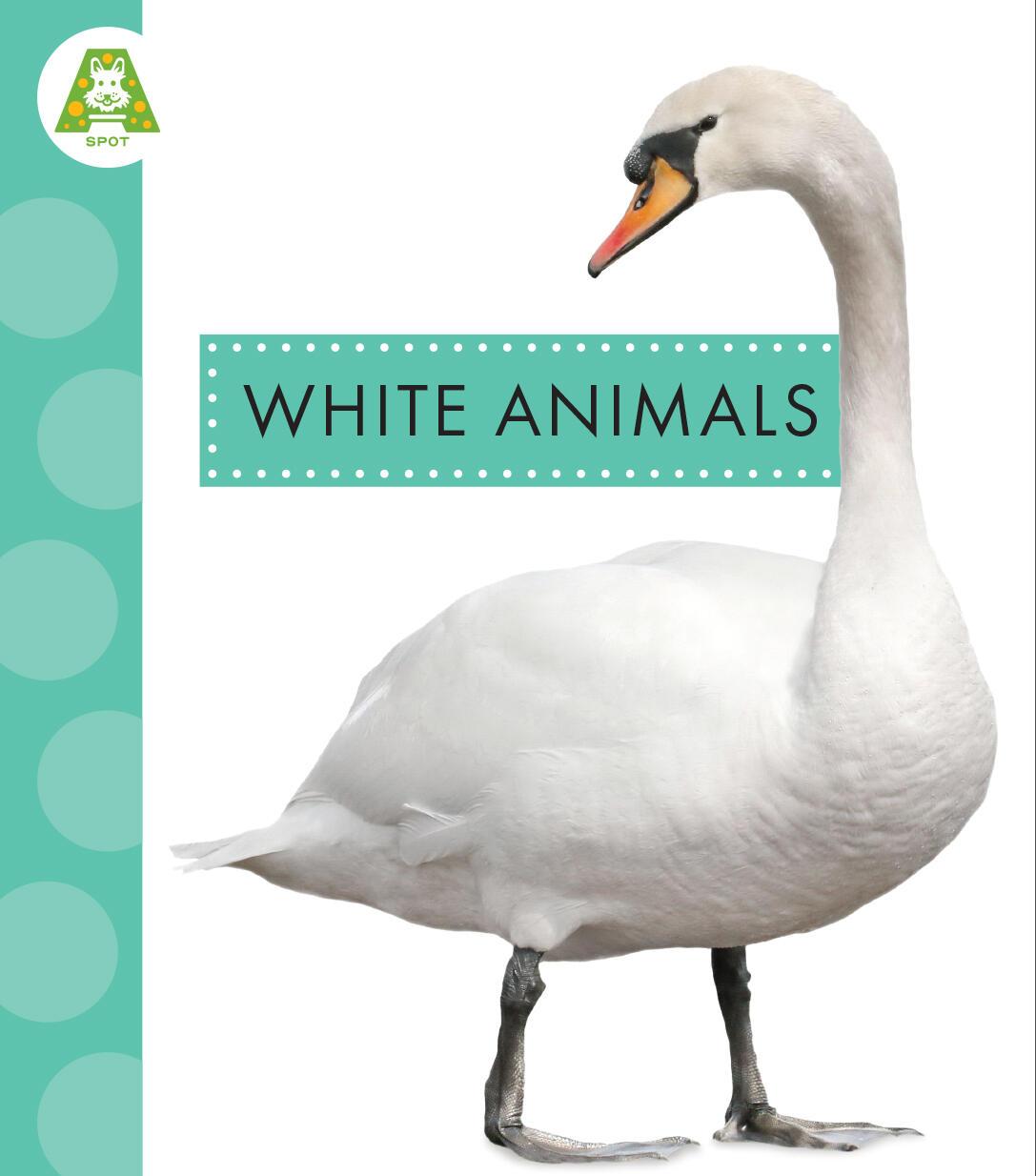Book White Animals Suen