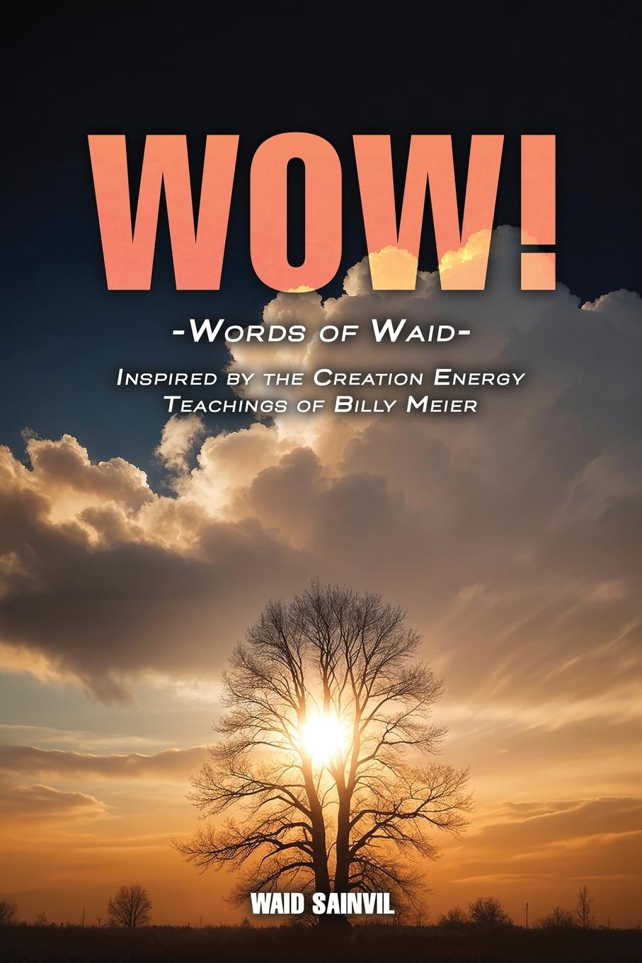 Knjiga WOW Waid Sainvil