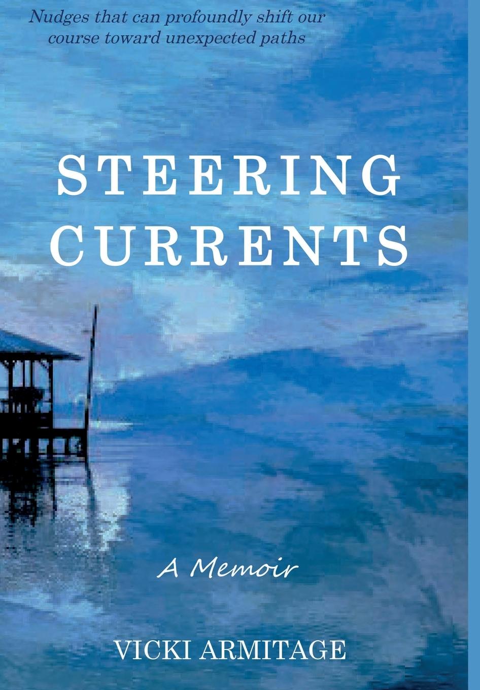 Knjiga Steering Currents Vicki Armitage