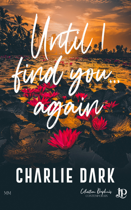 Buch Until I meet you... again CHARLIE DARK