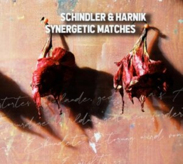 Audio Synergetic Matches Schindler & Harnik